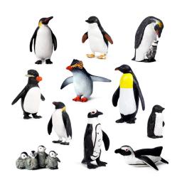 Ciclo de crescimento plástico realista pinguim estatuetas variedades de pinguins polar ártico figuras animais ovos de páscoa bolo toppers presente - Image 3