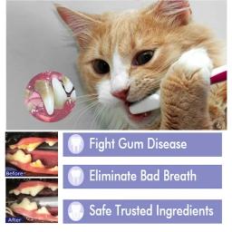 Yegbong-creme de limpeza oral para cães e gatos, manchas dentárias, limpo, tártaro, manchas dentárias, produtos para animais - Image 2
