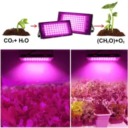 Full Spectrum LED Grow Light, Phyto Lâmpada para Planta, Lâmpada hidropônica, Sementes de flor de estufa crescem iluminação, 220V, 100W, 200W, 300W - Image 1
