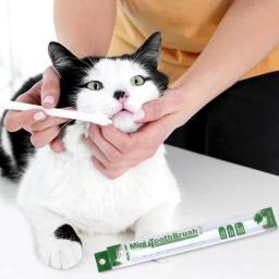 Escova de dentes para cachorro e gato, conjunto de 3 peças, acessórios para limpeza de dentes, breath, cuidados com o mau hálito, ferramenta para animais de estimação - Image 2