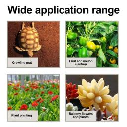 Solo de fibra de coco natural para réptil, Terrário para lagarto, Tartaruga, Terrário para réptil, Suprimentos Inferiores - Image 5