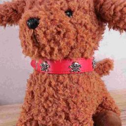 Ajustável Halloween crânio colarinho para Pet, Black Pet Collar, cão suprimentos, cachorro, 1pc - Image 6