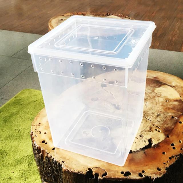 Caixa de Alimentação Transparente para Répteis e Insetos: Ideal para Lagartos, Tarântulas e Tartarugas em Terrários e Gaiolas de Incubação