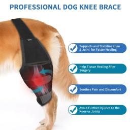Almofadas de Proteção Ajustável para Animais De Estimação, Leg Brace, Joelho Wrap, Suportes para Cães, Correias de Apoio, Acessórios para Cães - Image 2