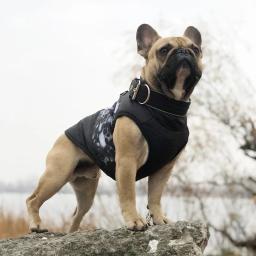Inverno quente roupas para cães pequenos à prova dwaterproof água jaqueta pet filhote de cachorro gato roupas yorkie casaco chihuahua roupas caniche trajes - Image 5