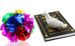 Metamofo-Livro de Magia para Truques de Magia, Ilusões Acessórios, Adereços Gimmick, Comédia, Ilusões, Palco, Pomba - Image 4