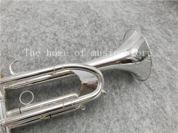 Banhado a prata trompete com caso, trompete profissional, B plana, instrumentos musicais, frete grátis, venda quente, LT180S-37 - Image 5