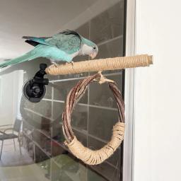 Pendurado Pássaro Balanço com Ventosa, Natural Papagaio Poleiro Brinquedo, Periquitos Periquitos Calopsitas, Lovebirds Conures Suprimentos - Image 1