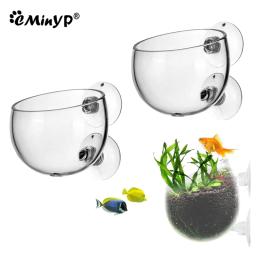 Aquário Vidro Planta Vaso com Otários, Cilindro Cup, Aquático, Cultivar, Sementes, Coral, Musgo, Aquário, Decoração Acessório - Image 1