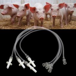 10 pces tubos de gavage em linha reta papagaio pombo pássaro aves domésticas acessórios de injeção alimentação para manual aves alimentando as peças da seringa - Image 3