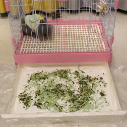 Tapete De Fraldas De Plástico Descartável Para Animais Pequenos, Filme Universal De Banheiro, Rabbit Cage Liner, Coelho Mat, Substituição, 4 Tamanhos, 50Pcs - Image 3