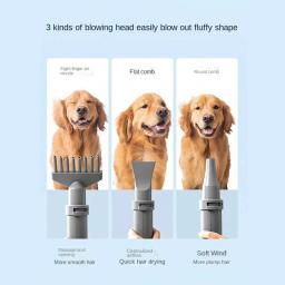 Secador rápido de cabelo quente para animais de estimação, cachorro, gato, pequeno, médio, grande, beleza, 2000W - Image 3