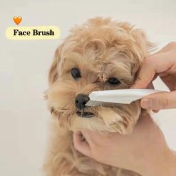 Escova removedor de pêlos faciais para animais de estimação Escova de pulgas para cachorros e gatos Pente de piolhos Remoção de mancha de lágrima Ferramenta de limpeza de higiene - Image 2
