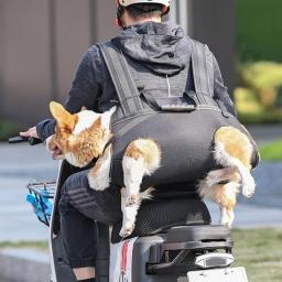 Eslingas suporte para pernas cachorro, arnês apoio corporal para cães idosos feridos deficientes - Image 4