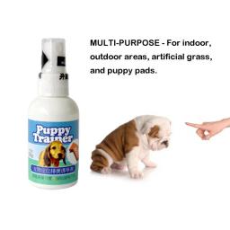 Creative Pet Potty Aid Training Spray, Posicionamento Líquido, Spray para Cães e Gatos, 50ml - Image 2