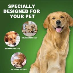Pet UTI Poderosas Gotas de Bexiga, Cuidados Urinários, Suprimentos Multifuncionais para Tratamento Cranberry, Cães e Gatos, 60ml - Image 5