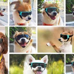 Óculos de proteção para cães pequenos com proteção UV, Doggy Sunglasses, Windproof Sun Soft Frame Pet Glasses, Outdoor Riding and Driving Glasses - Image 4