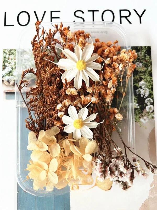 Pacote de Material Artificial Flor Seca, Materiais Florais DIY, Flor Eterna, Artesanato, Decoração De Festa De Casamento, Curso De Arte Flor - Image 1