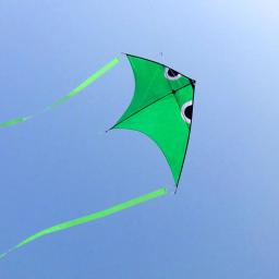 Professional Kites Flying Dragon Kite, Kitesurf Winder, Outdoor Sports Toys, Frete Grátis, City Elf - Image 4