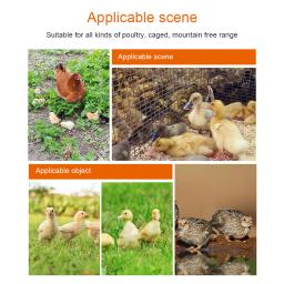Alimentador, drinde aves, galinha, quail, quail, suprimentos para alimentação, 160g/160ml, 1 conjunto = 2 peças - Image 2