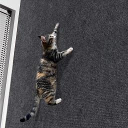 Tapete de arranhão auto-adesivo para gato, tapetes rastejantes, proteção de sofá, moldura de escalada, almofada para tapete, tábua para gatos - Image 4