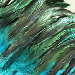 Colorido Natural Galo Penas, Plumas para DIY Vestuário, Jóias Artesanato Decoração, Acessórios de Carnaval, Decorati, 5-7 ", 1000Pcs por lote - Image 4