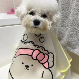 Casaco impermeável para animais de estimação, cães e gatos roupas, mancha de lágrima, cuidados faciais, pano do cabo, corte de cabelo - Image 2