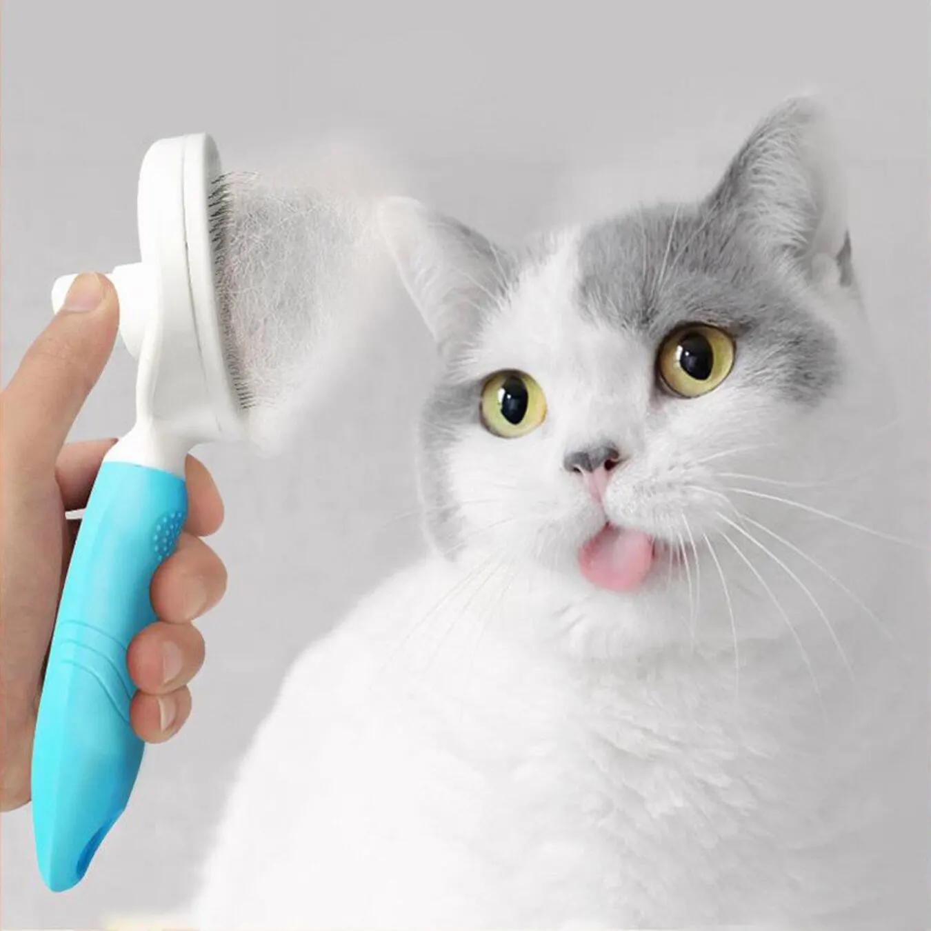 Removedor Escova Tira Pelos Pet Animais De Estimação Massageador Rasqueadeira Para Gato Cachorro - Image 1