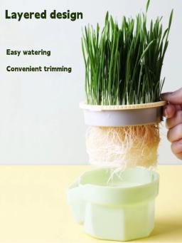 Projeto Hierárquico Cat Grass Cultivo Cup com Soilless Cultivo Reutilizável Catnip Growing Container Seed Germination Bandeja - Image 3