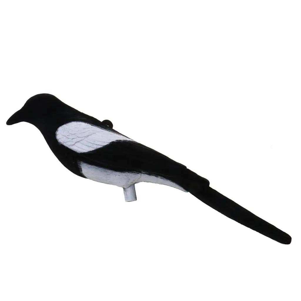 Magpie reunido para larsen armadilha gaiola chamariz pássaro caça tiro chamariz - Image 1