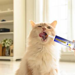 Cat Paste Anti Hairball Gel, Suplemento nutritivo e eficaz para gatos e gatinhos, Suporta tecido saudável - Image 2