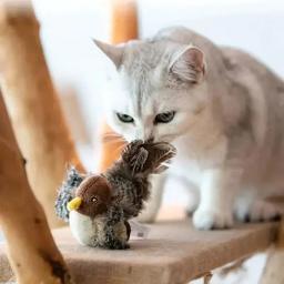 Brinquedo sonoro do pássaro com sons e movimentos de agitação para gatos internos, Brinquedos interativos da pena do gato, Brinquedos da pena do gatinho - Image 2