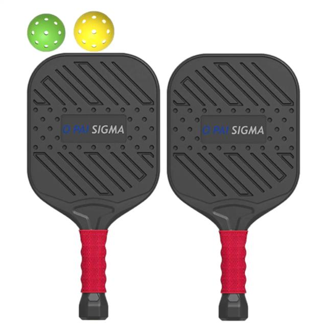 Raquetes de Pickleball Portáteis para Todas as Idades com 2 Bolas - Suprimentos para Jogo de Lazer ao Ar Livre