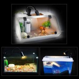 Lâmpadas UVA UVB, controlador de temperatura de aquecimento, lâmpada de répteis, aquecendo tartarugas, 25 W, 50 W, 75W, 1-2pcs - Image 5