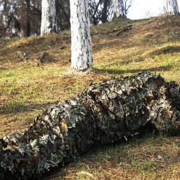 3D Deixa Hunter Ghillie Terno, Top De Disfarce De Camuflagem, Calças, Roupas Ao Ar Livre, Selva De Treinamento CS, Jaqueta Com Capuz, Conjunto De Calças - Image 3