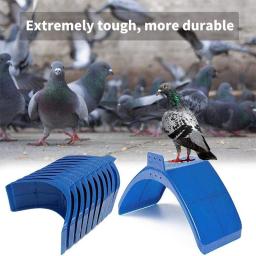 Suporte plástico Quadro para Pomba Pomba, Pássaro Poleiro, Suporte para Suprimentos de Pássaro, Pomba Azul Poleiros, Poleiro para Papagaios, 1Pc, 10Pcs - Image 2