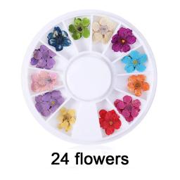 Colorido Natural Seca Flor Espécime, Silicone Mold Material De Enchimento, DIY Resina Epóxi Artesanato, Jóias Pingente Fabricação, Material De Enchimento - Image 5