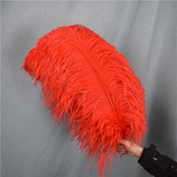 Decoração de Penas de Avestruz Vermelho, Penas Grandes para Artesanato, Top de Carnaval, Feriado, Acessórios para Casamento, Decoração, 15-70cm, - Image 3
