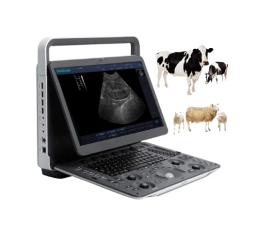 Sonoscape-ultra-som scanner e1 para o animal, equipamento veterinário para cavalo e vaca, e1v - Image 1