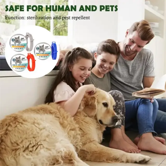 Coleira Ajustável para Pets com Proteção Antipulgas, Carrapatos e Piolhos - 38cm de Segurança e Conforto