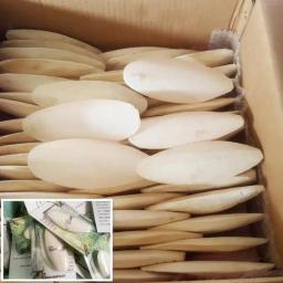 Natural Lula Osso para Aves, Mastigar Osso, Papagaio, Pássaro Comida, Suprimentos de Saúde, 10Pcs - Image 5