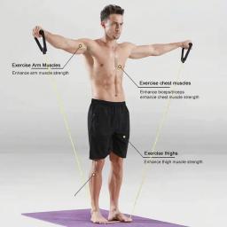 5 níveis de faixas de resistência com alças treinamento resistência puxar para cima banda ginásio resistência exercício borracha lld07 - Image 6