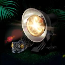 Nomoy-Ajustável Suporte de Luz de Aquecimento com Braçadeira para Lagartos Terrarium, UVA, UVB Lâmpada, Réptil, Tartaruga, Tartarugas - Image 2