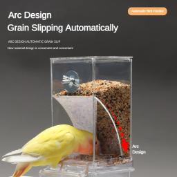Alimentador automático de papagaio anti-respingo Recipiente De Alimento De Semente De Pássaro Alimentador Líquido Acessórios de gaiola para periquitos - Image 2