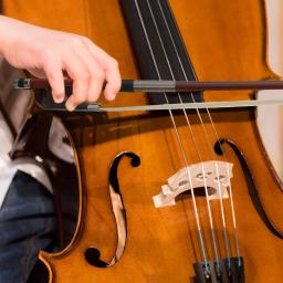 Arco de violoncelo de cabelo de cavalinha bem arco de violoncelo para estudante iniciante arco de violoncelo instrumento arco musical - Image 3