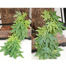 Plantas Répteis com Ventosa, Decoração de Plantas para Anfíbios, Lagarto, Serpente, Videira Escalada, Pet Tank, Decoração do Terrário - Image 4