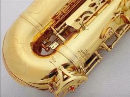 Profissional Alto Eb saxofone com caso acessórios, bronze ouro, E Flat Sax desempenho, instrumento musical, 802 - Image 6