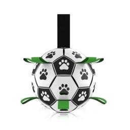 Pet brinquedos interativos de treinamento, Impermeável e resistente a mordida, Treinamento ao ar livre de dentição, Brinquedos interativos para cães - Image 1