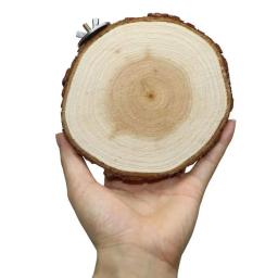 Round Wooden Stand Board para Pet, Bird Cage Poleiro, Poleiros Plataforma, Poleiros para Chinchilla, Squirrel Birds, Resin Toy, Novo, 6 cm, 8 cm, 10cm - Image 3