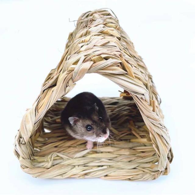 Ninho de Grama Artesanal Confortável para Pequenos Animais de Estimação, Ideal para Hamsters e Aves como Papagaios